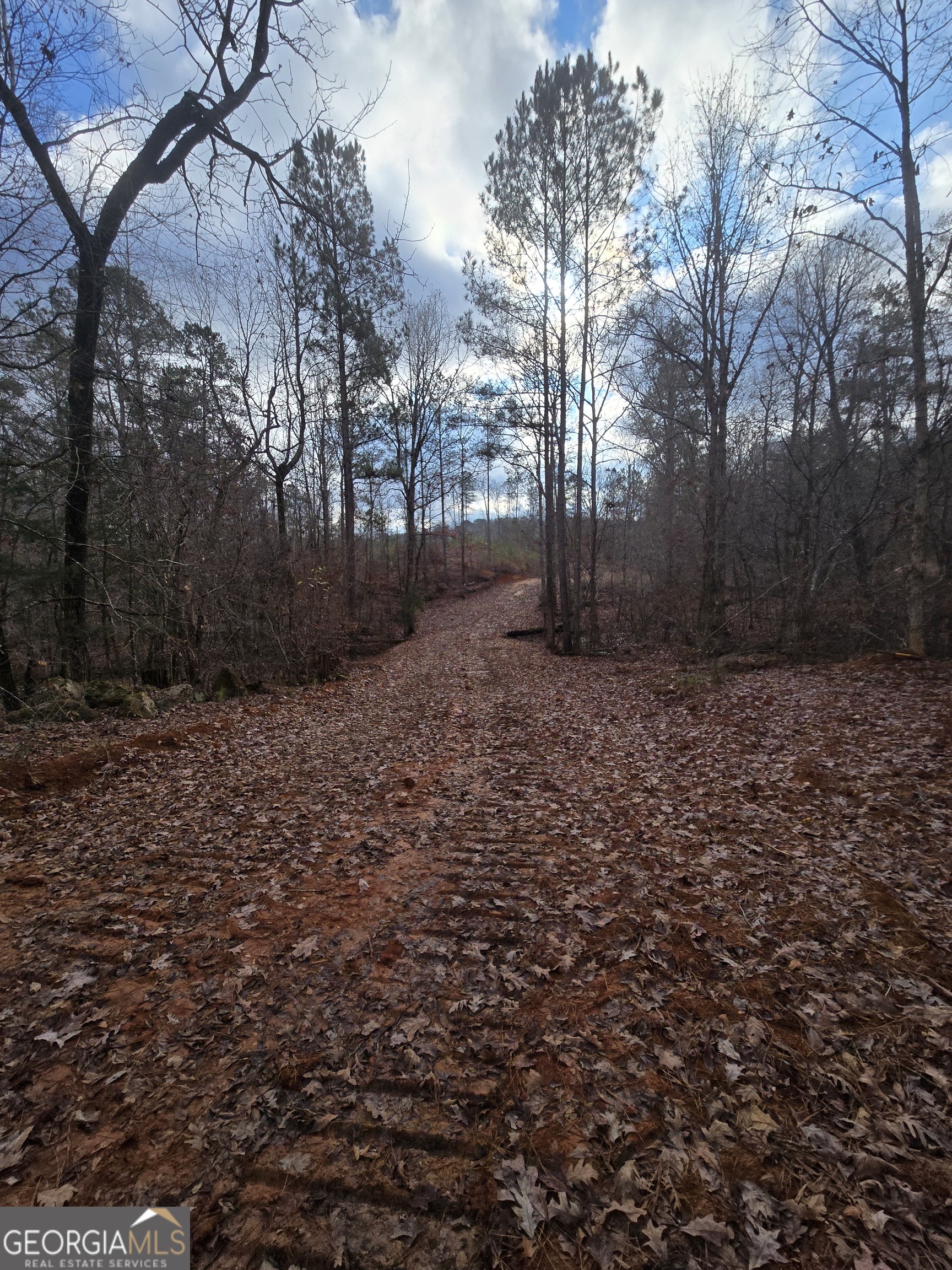 0 Martin Mill Road Eatonton, GA 31024 - Photo 10 of 17 a big yard with lots of green space