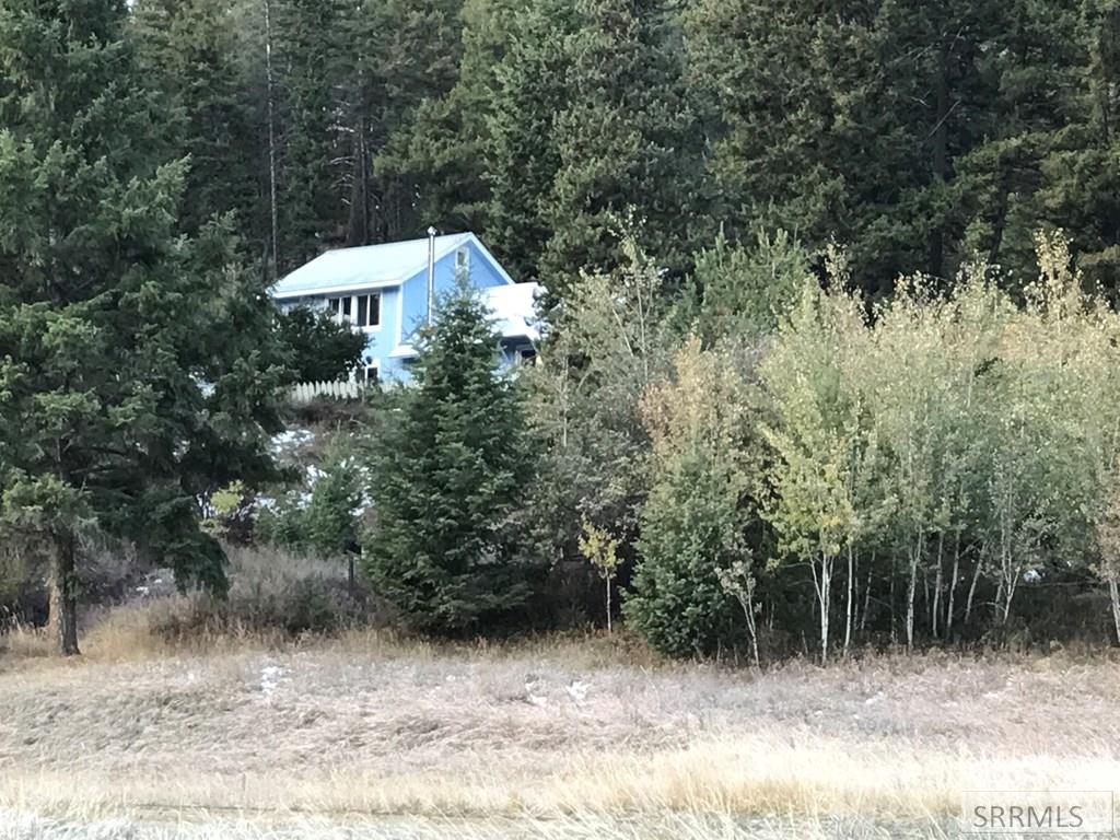 2209 Panther Creek Road Challis, ID 83226 - Photo 30 of 30