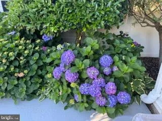 $344,900 | 315 South Camden Avenue, Fruitland, MD 21826