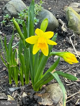 $344,900 | 315 South Camden Avenue, Fruitland, MD 21826