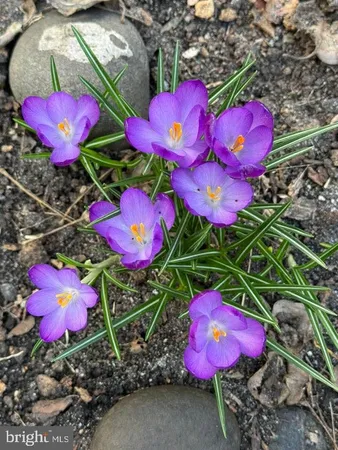 $344,900 | 315 South Camden Avenue, Fruitland, MD 21826