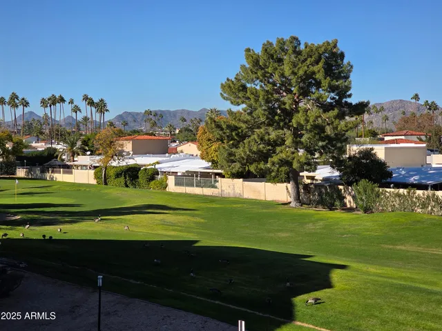 a view of a park with large trees