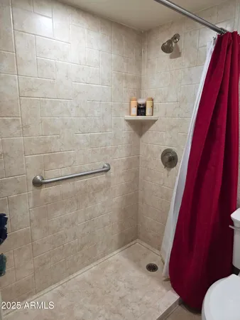 a bathroom with a shower and a toilet