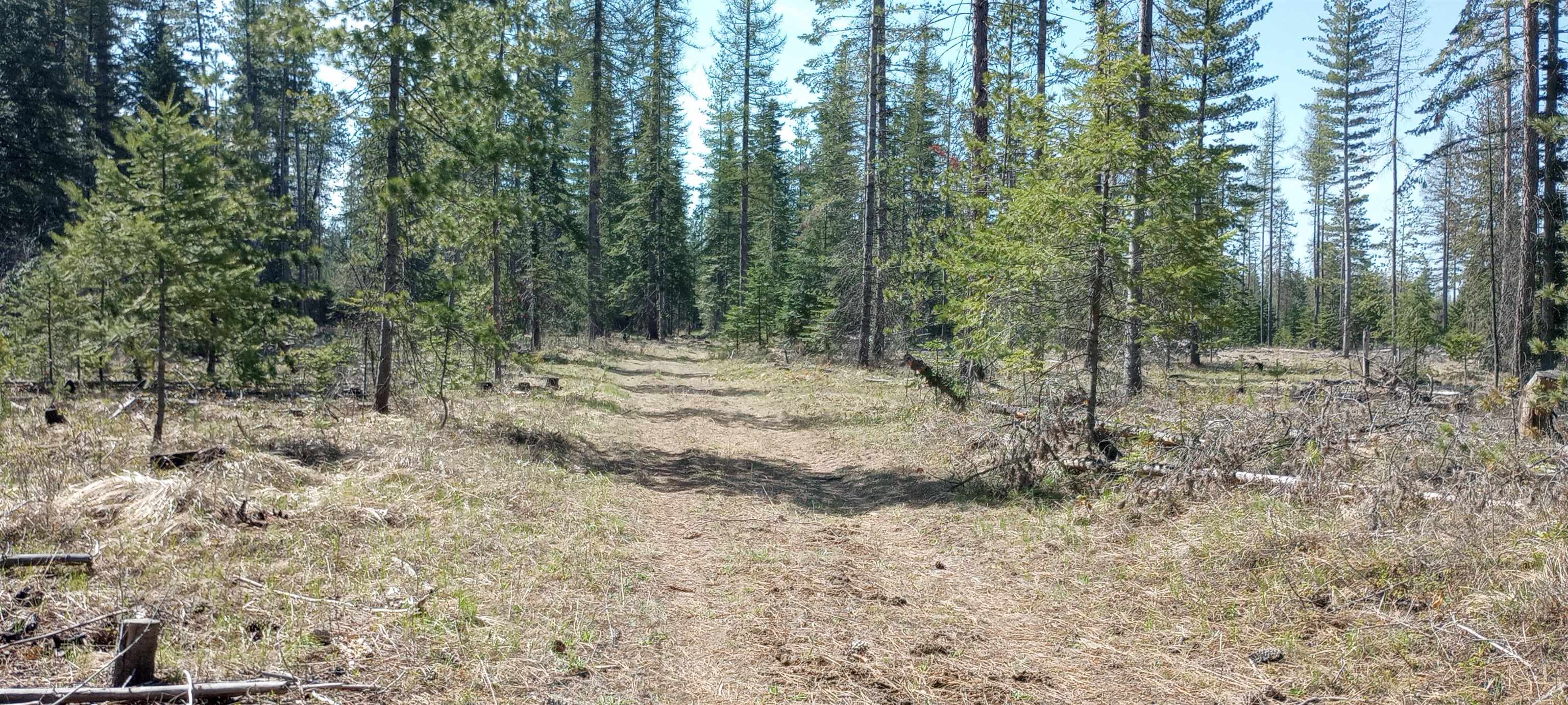 151-xx East Oregon Road, Unit PARCEL 49111 9068 Elk, WA 99009 - Photo 5 of 11