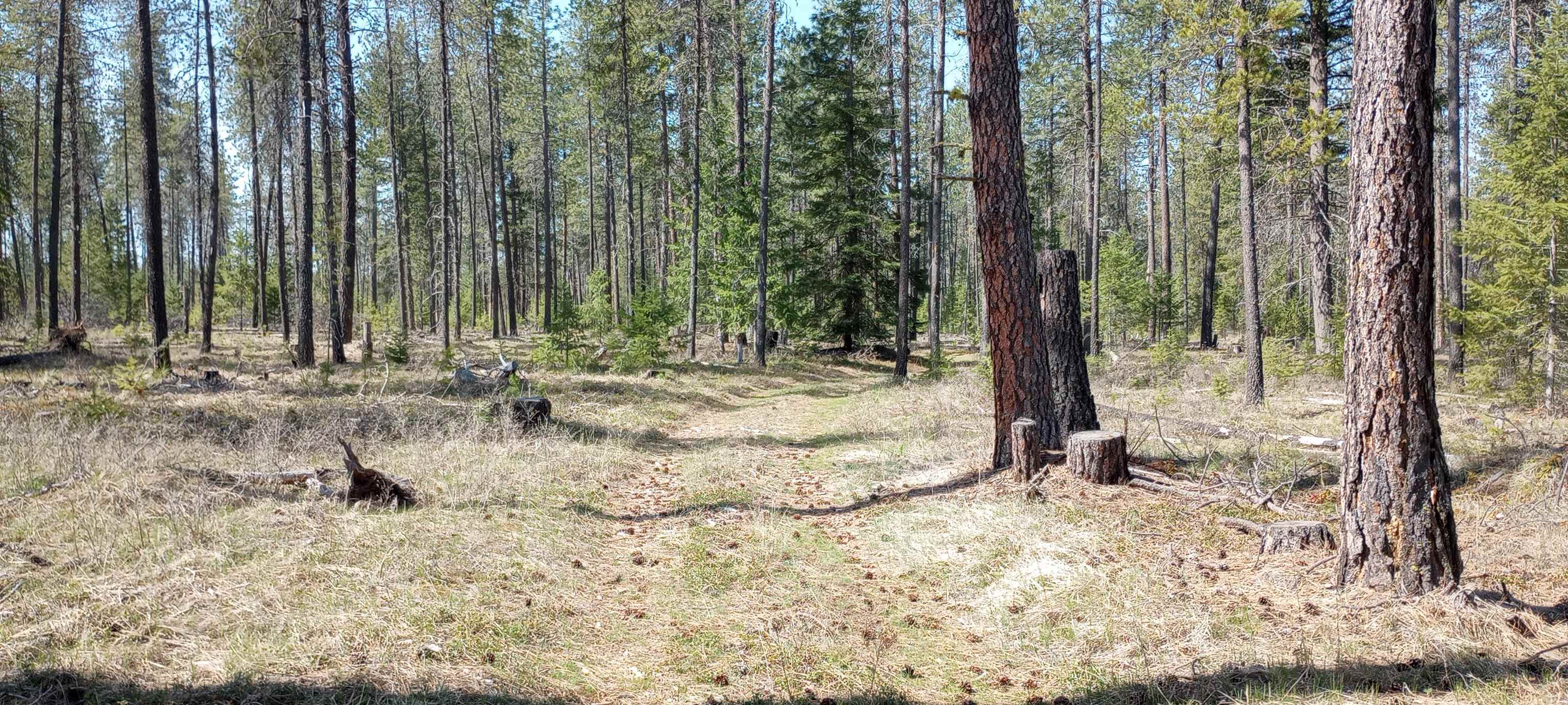 151-xx East Oregon Road, Unit PARCEL 49111 9068 Elk, WA 99009 - Photo 6 of 11