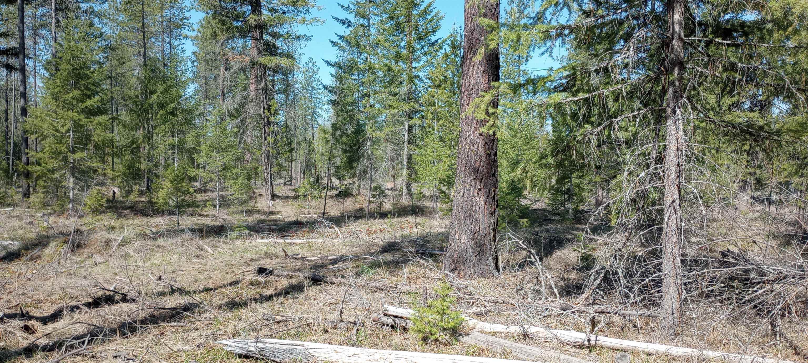 151-xx East Oregon Road, Unit PARCEL 49111 9068 Elk, WA 99009 - Photo 7 of 11