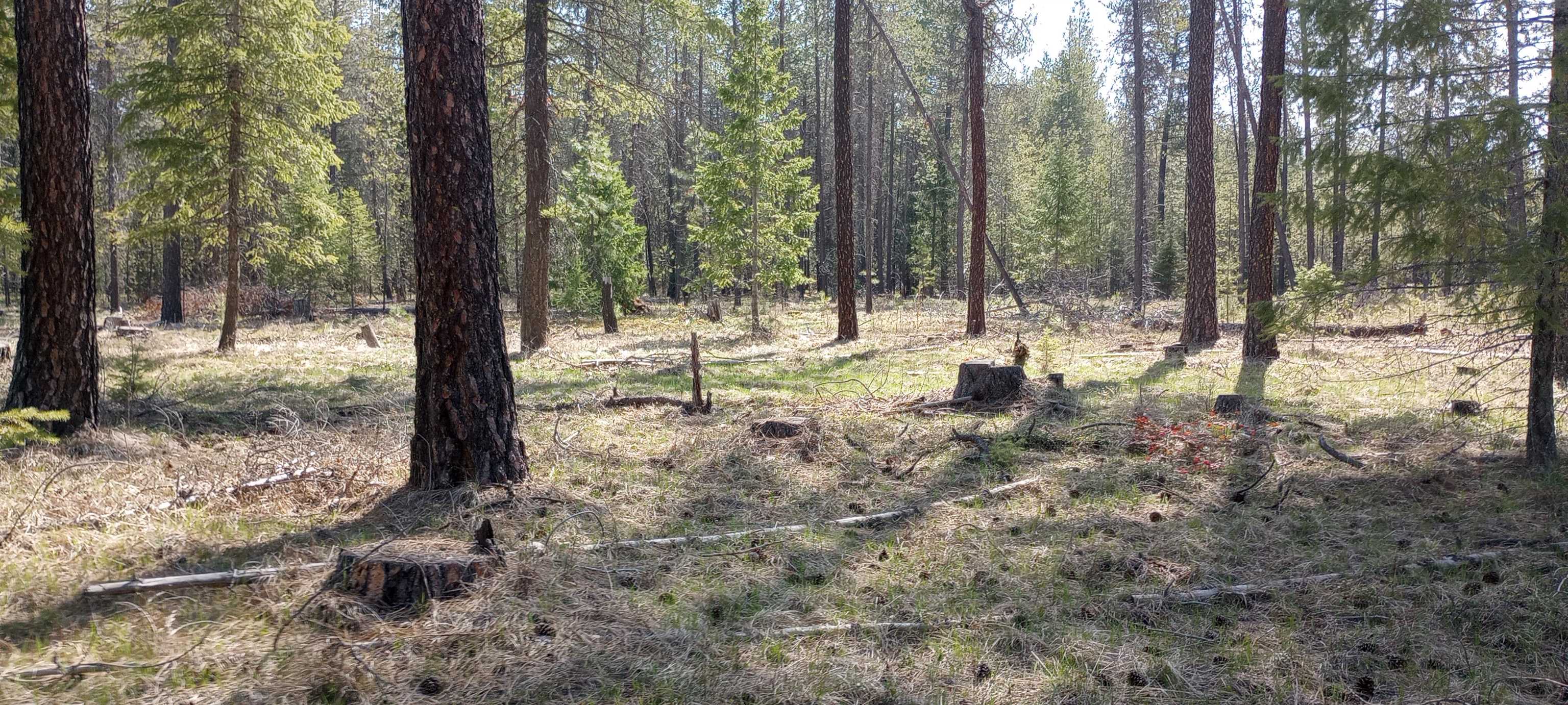 151-xx East Oregon Road, Unit PARCEL 49111 9068 Elk, WA 99009 - Photo 8 of 11