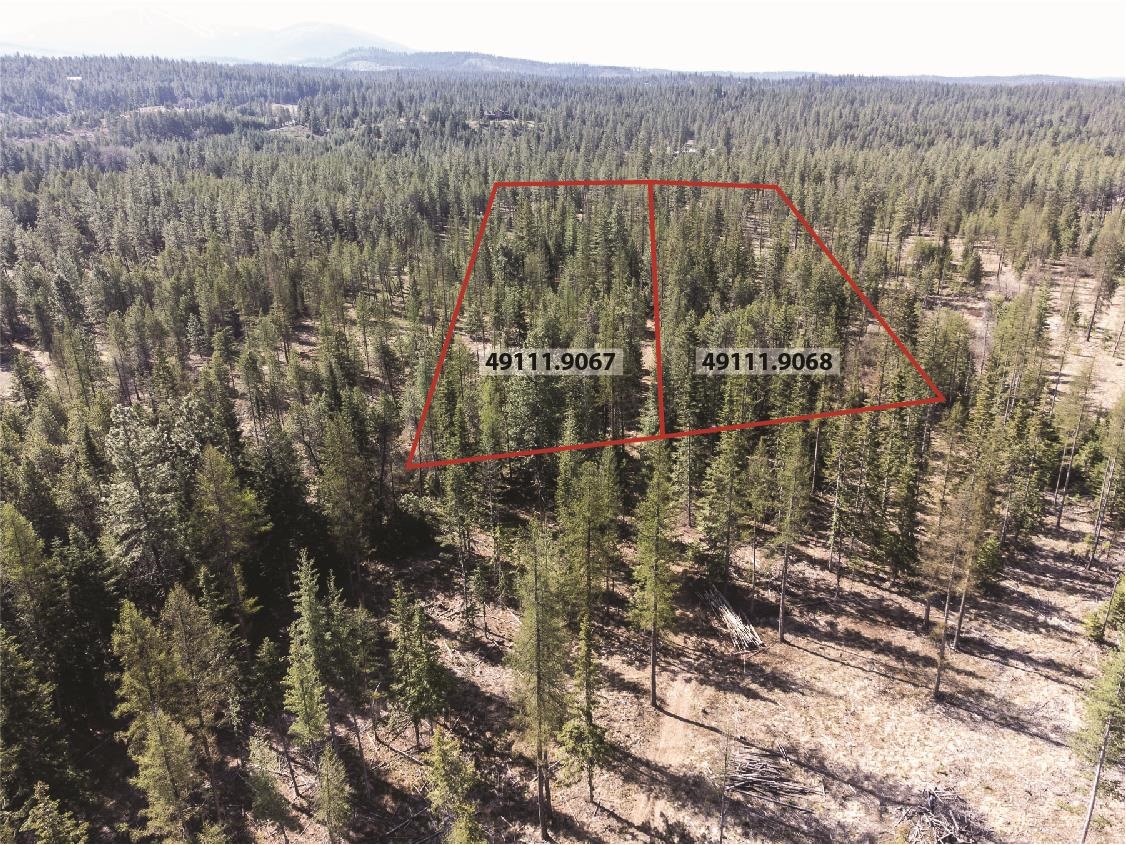 151-xx East Oregon Road, Unit PARCEL 49111 9068 Elk, WA 99009 - Photo 9 of 11