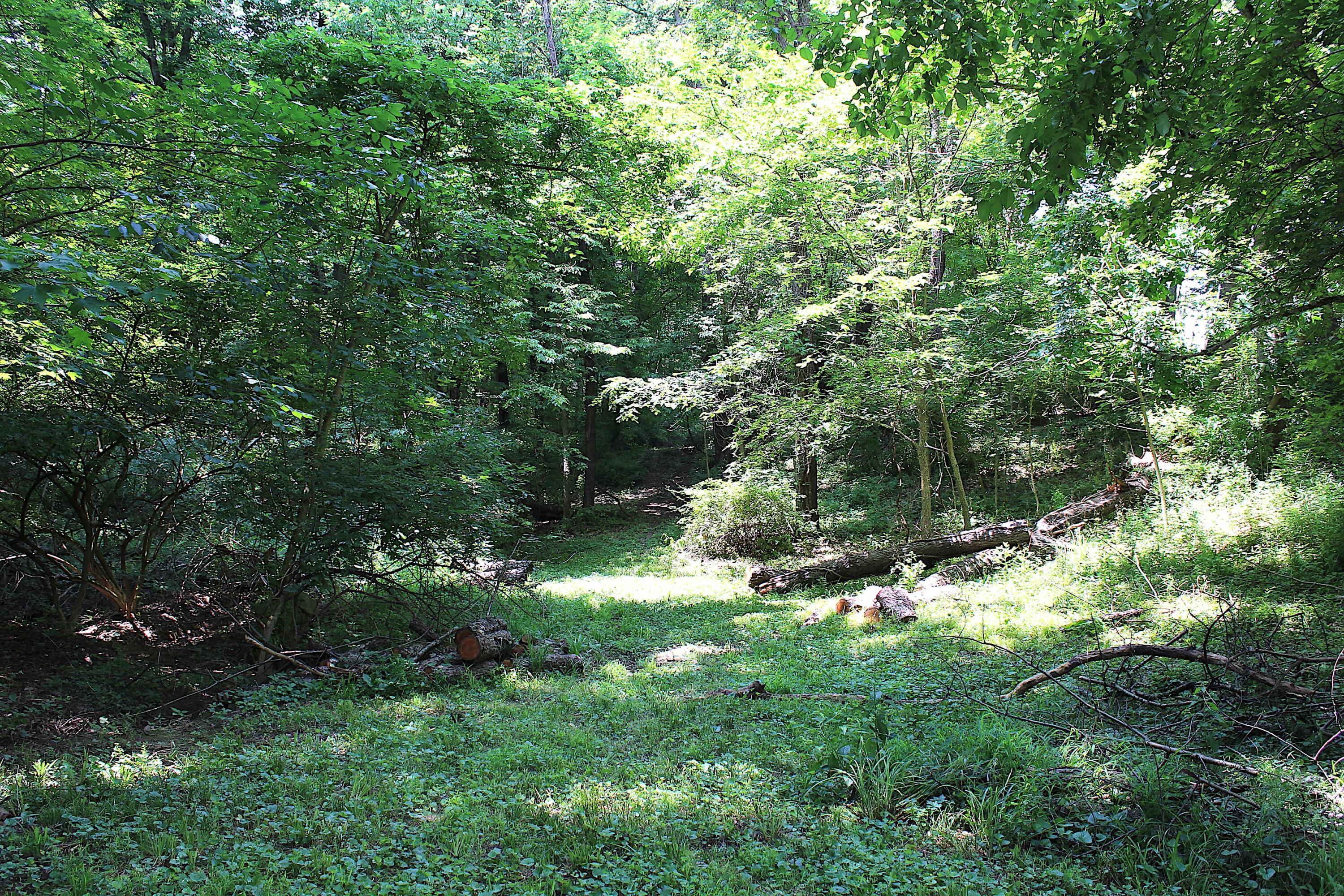 8870 Olentangy River Road Powell, OH 43065 - Photo 57 of 61 IMG_6755