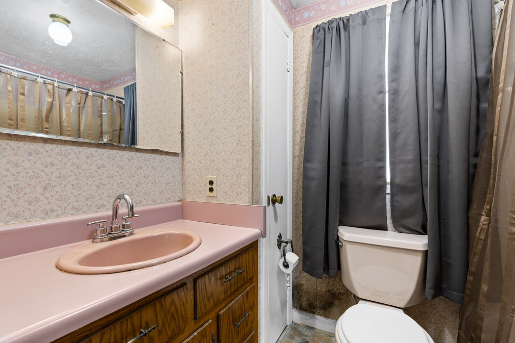 7255 Blue Ridge Drive Blue Ridge, GA 30513 - Photo 17 of 24 a bathroom with a toilet a sink and mirror