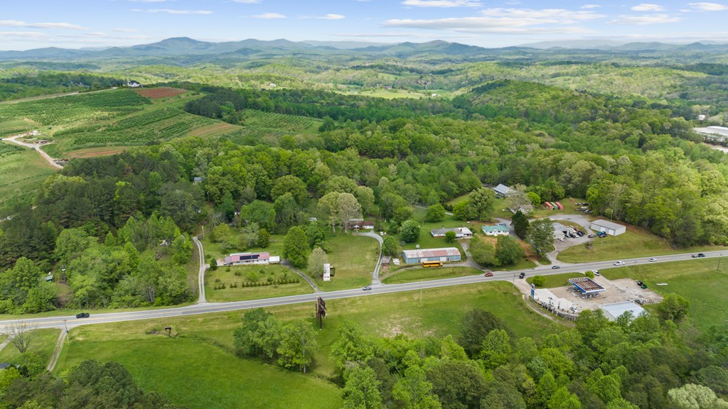 7255 Blue Ridge Drive Blue Ridge, GA 30513 - Photo 22 of 24 a view of a town with residential houses