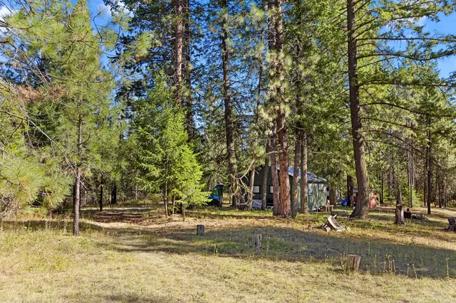 $399,000 | Nna Nna Dome Lane Way, Unit PARCELS: 2461300 2461101 2461105, Springdale, WA 99173