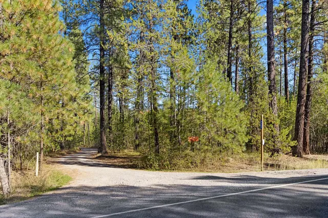 $399,000 | Nna Nna Dome Lane Way, Unit PARCELS: 2461300 2461101 2461105, Springdale, WA 99173