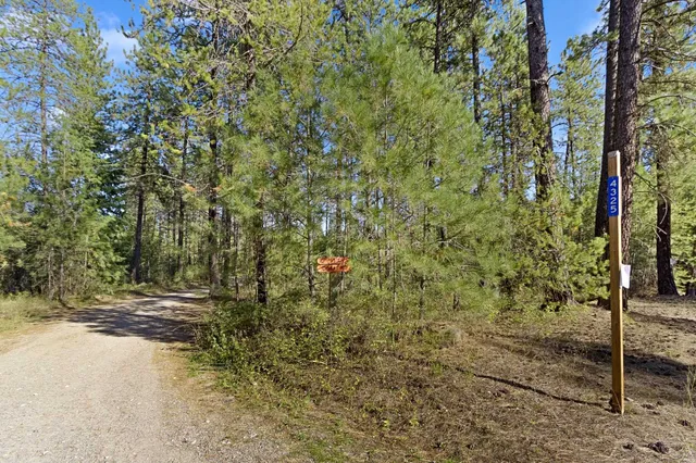 $399,000 | Nna Nna Dome Lane Way, Unit PARCELS: 2461300 2461101 2461105, Springdale, WA 99173