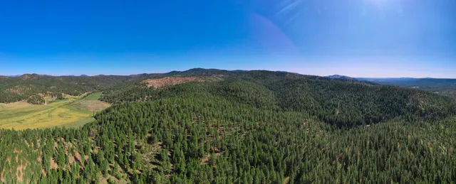 $399,000 | Nna Nna Dome Lane Way, Unit PARCELS: 2461300 2461101 2461105, Springdale, WA 99173