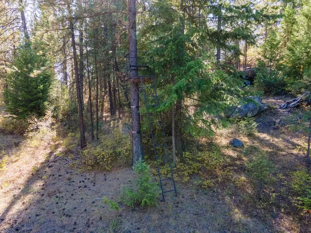 $399,000 | Nna Nna Dome Lane Way, Unit PARCELS: 2461300 2461101 2461105, Springdale, WA 99173