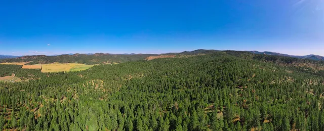 $399,000 | Nna Nna Dome Lane Way, Unit PARCELS: 2461300 2461101 2461105, Springdale, WA 99173