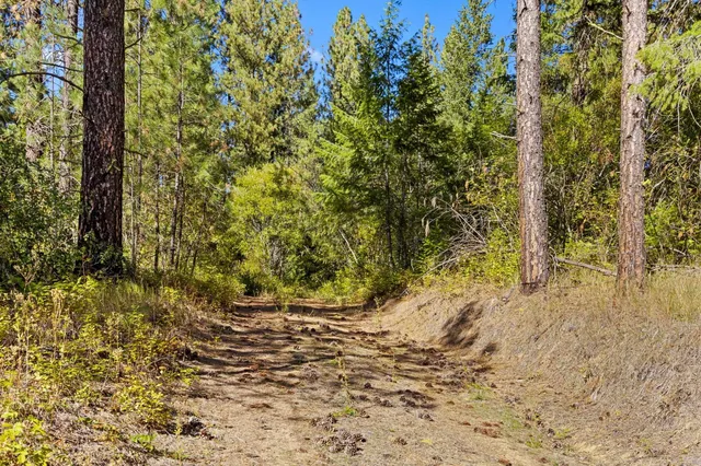 $399,000 | Nna Nna Dome Lane Way, Unit PARCELS: 2461300 2461101 2461105, Springdale, WA 99173