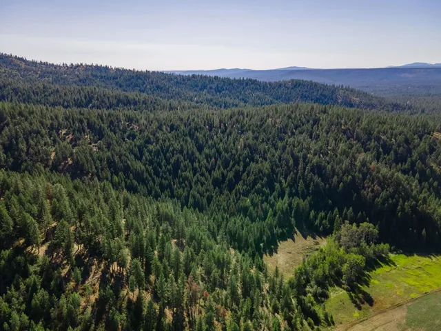 $399,000 | Nna Nna Dome Lane Way, Unit PARCELS: 2461300 2461101 2461105, Springdale, WA 99173