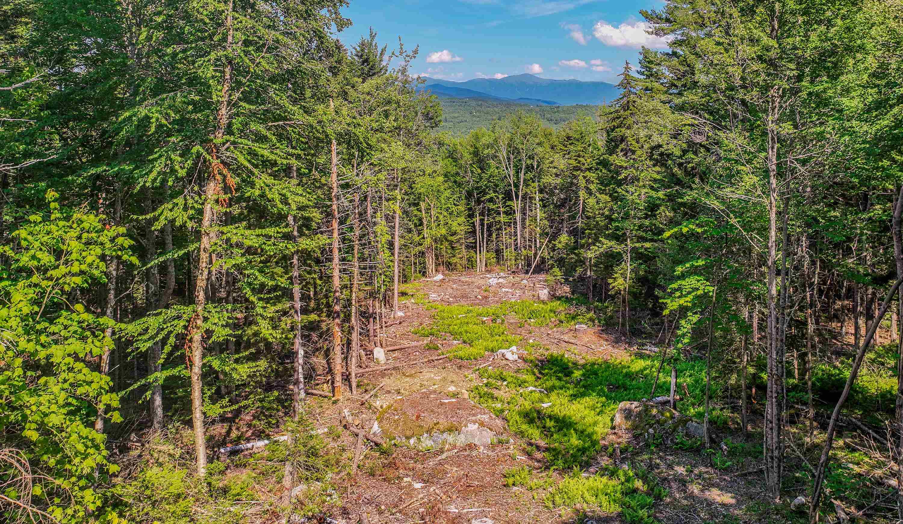 0 Ridge Road, Unit 28 Bethlehem, NH 03574 - Photo 13 of 56
