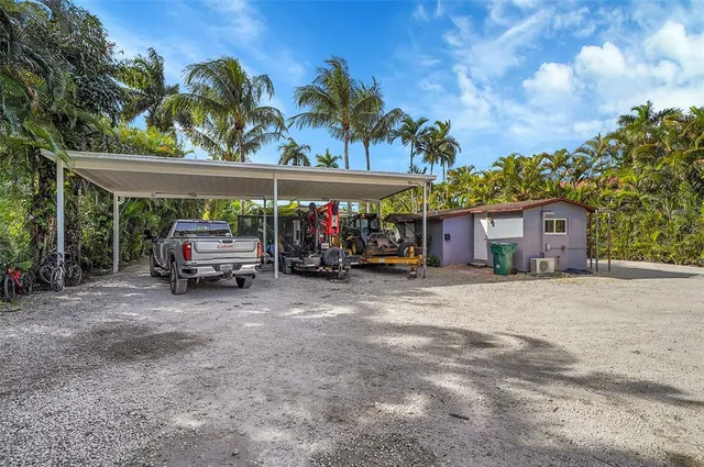 a view of a yard with plants and trees