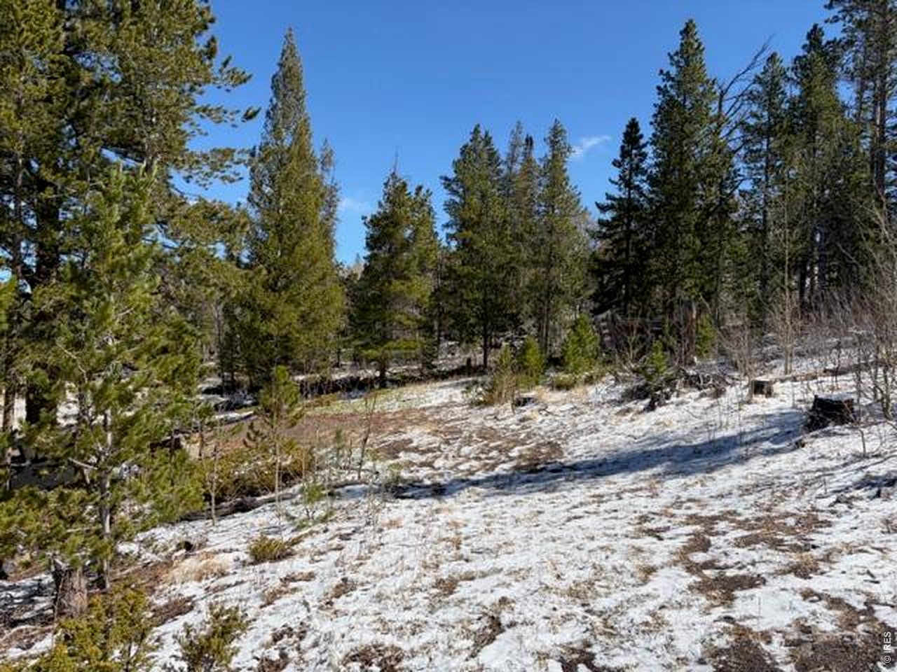 885 Pratt Creek Road Livermore, CO 80536 - Photo 32 of 40
