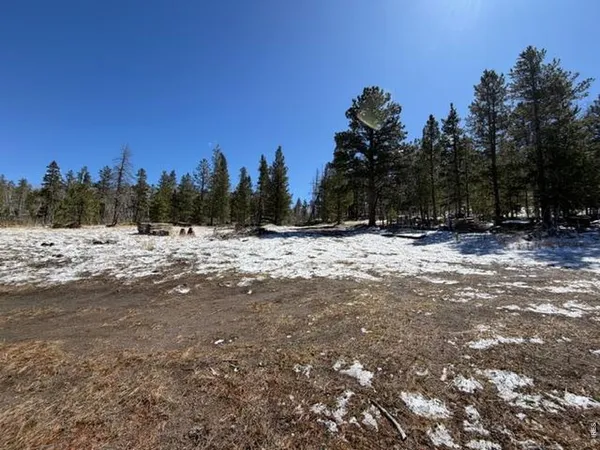 $339,000 | 885 Pratt Creek Road, Livermore, CO 80536