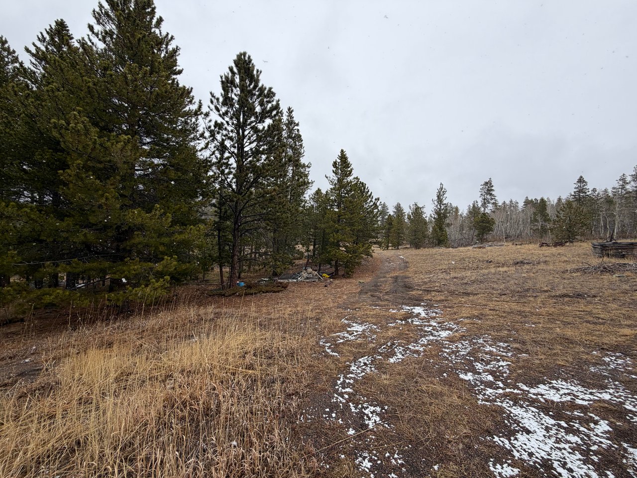 885 Pratt Creek Road Livermore, CO 80536 - Photo 9 of 40