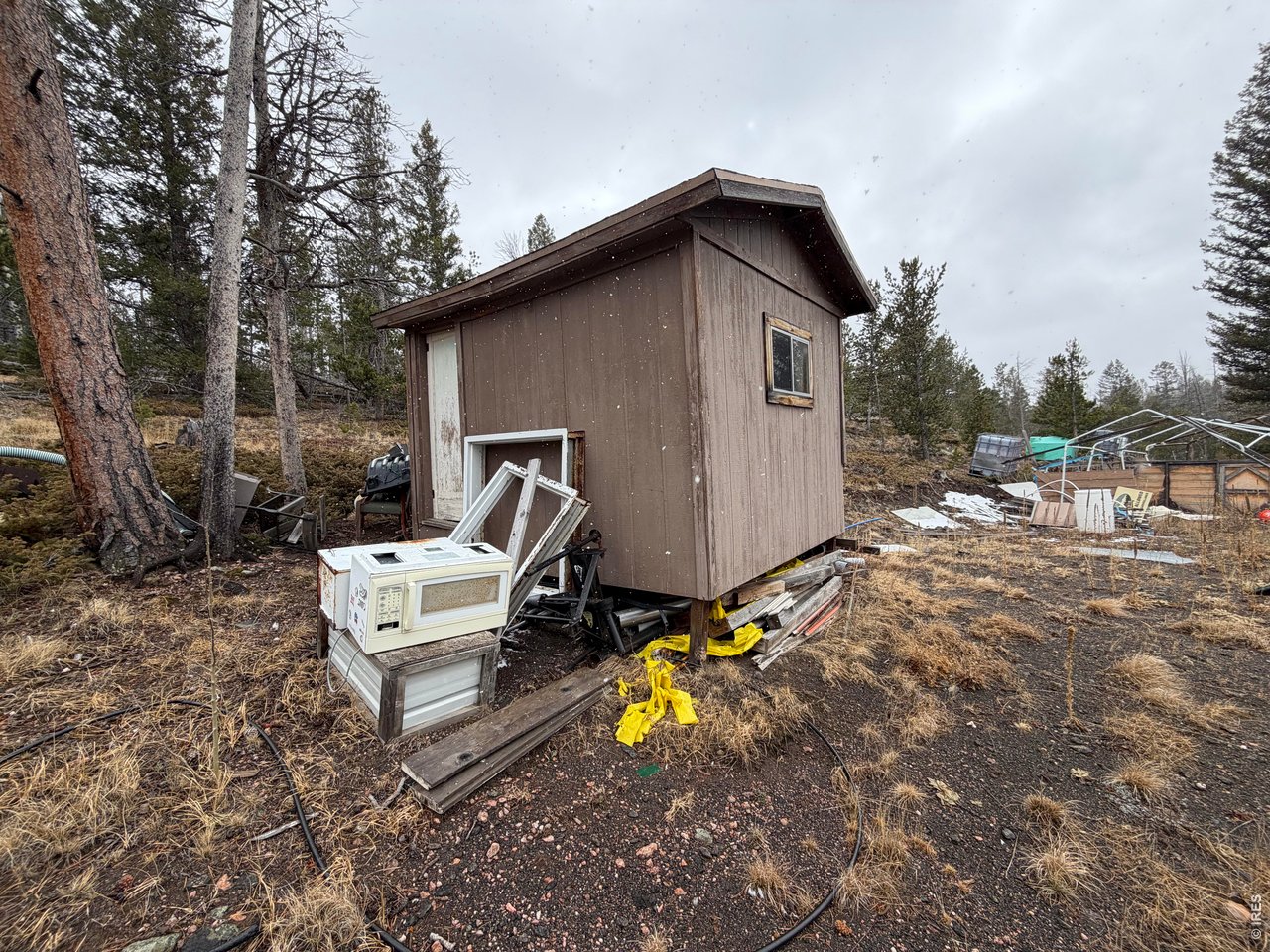 885 Pratt Creek Road Livermore, CO 80536 - Photo 10 of 40 Storage Shed