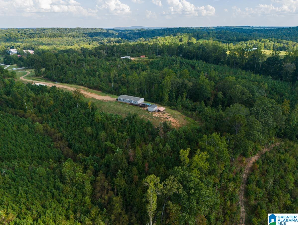 28 County Road 63 Ranburne, AL 36273 - Photo 43 of 47 Gallery Image 43