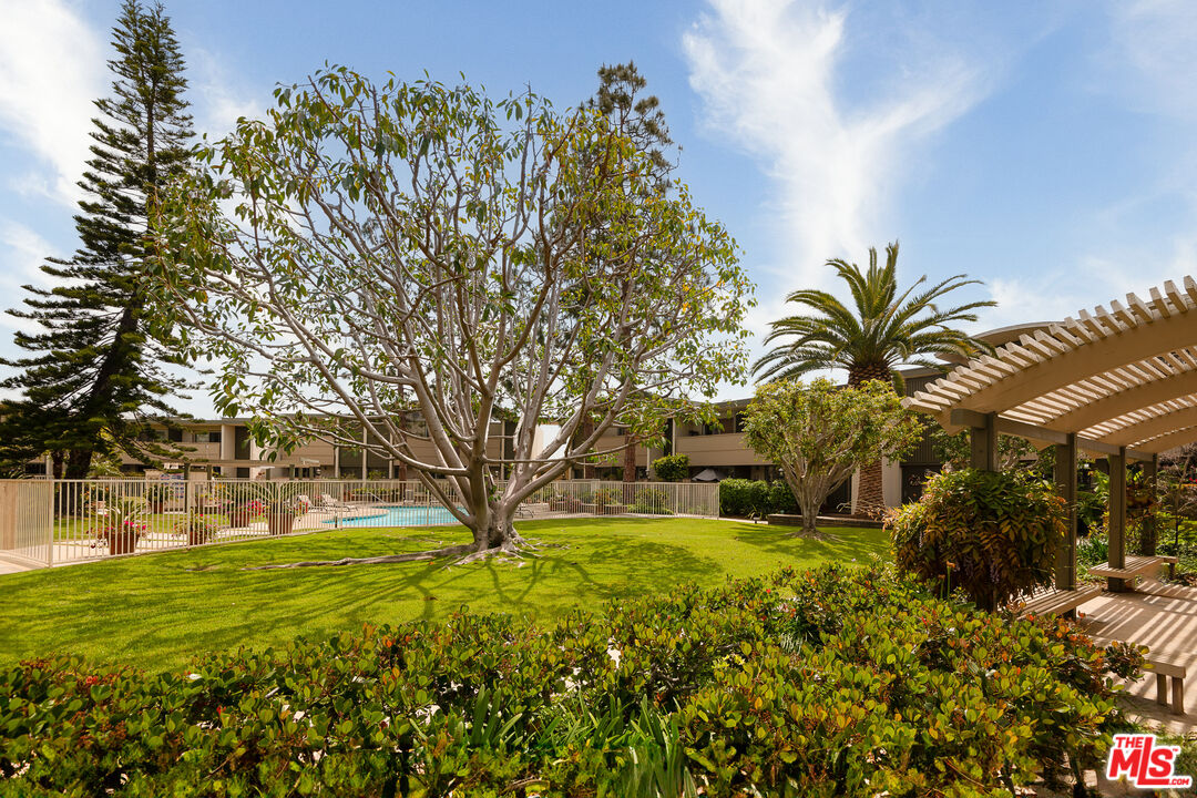 13214 Fiji Way, Unit P Marina del Rey, CA 90292 - Photo 39 of 41 a view of a yard with palm trees