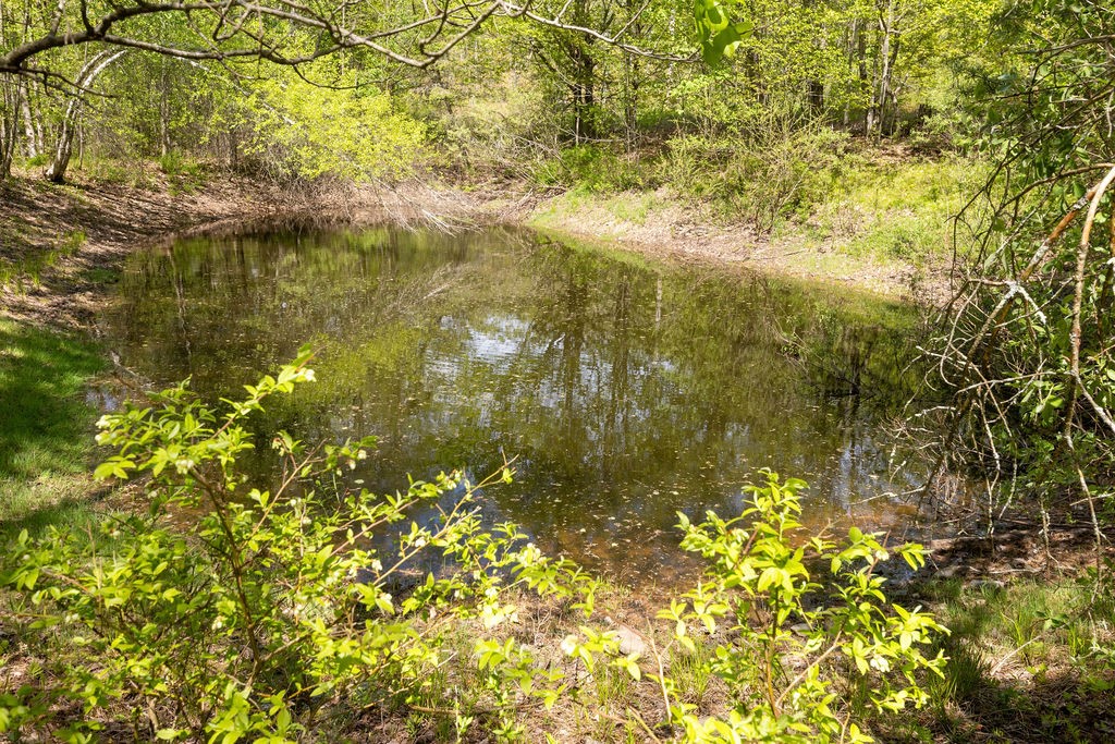 154 Townsend Road Bovina, NY 13740 - Photo 13 of 50