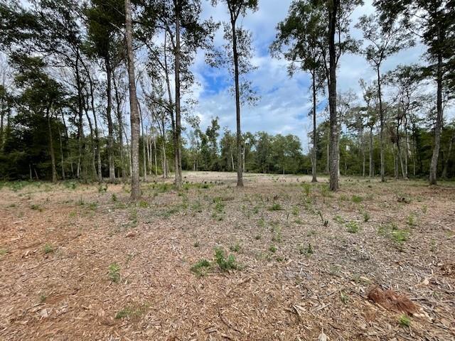 39092 Keaghey Road Ponchatoula, LA 70454 - Photo 5 of 6