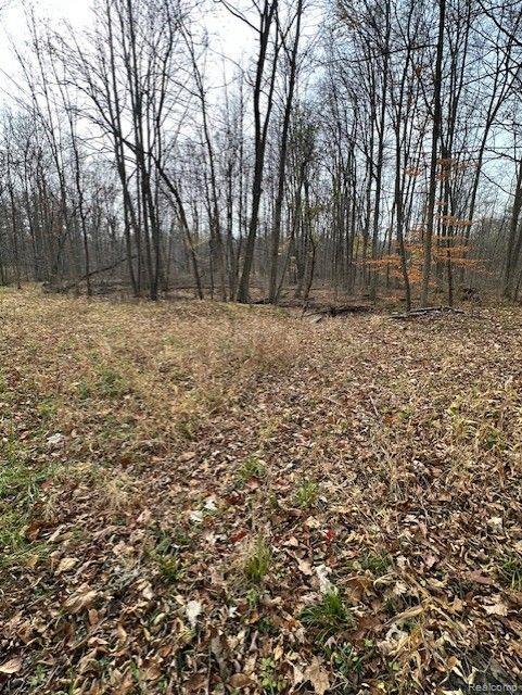 8438 Jordan Road Grand Blanc, MI 48439 - Photo 15 of 32