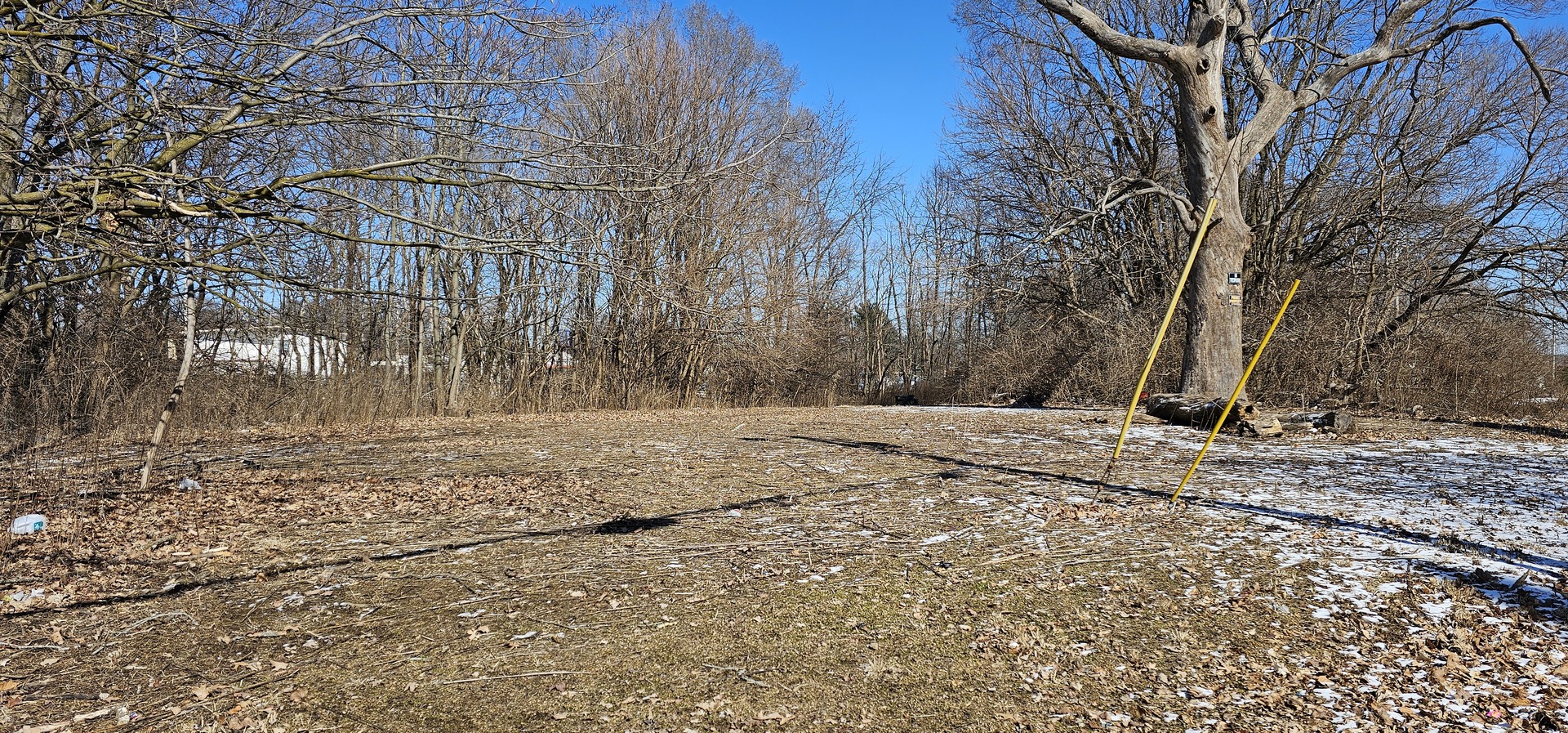 a view of yard covered with snow in front of house