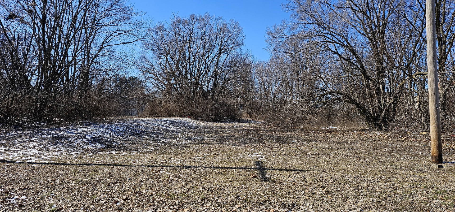 402 West Griggs Street Urbana, IL 61801 - Photo 4 of 4 a view of a yard with a tree