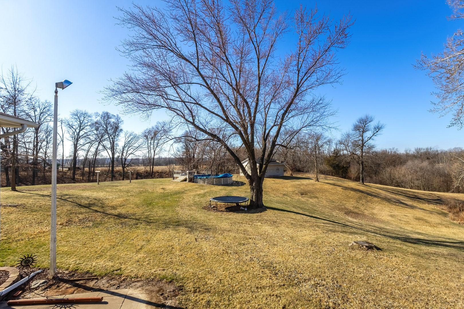 14004 252nd Street West Illinois City, IL 61259 - Photo 42 of 49 a view of yard with trees