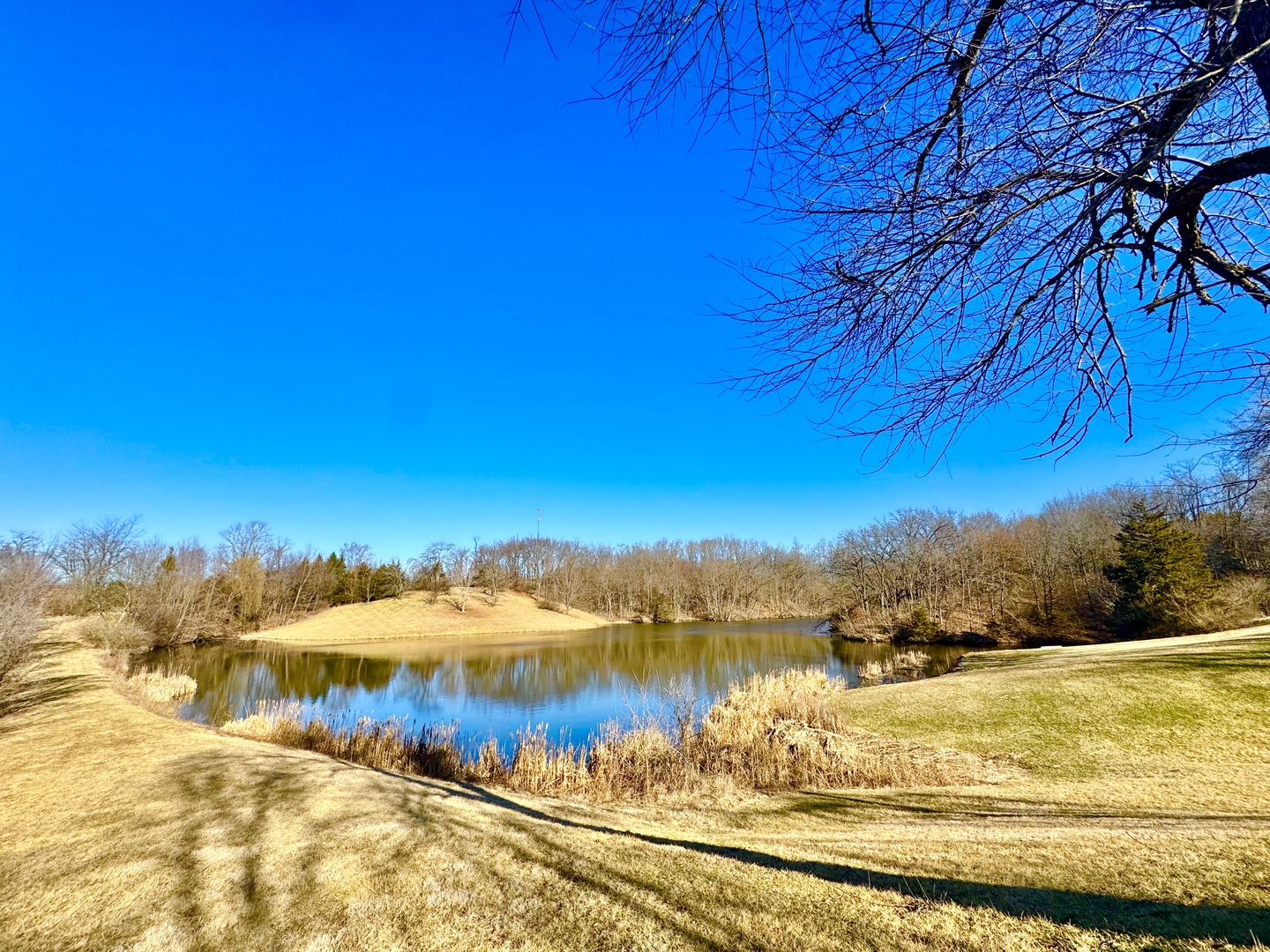 14004 252nd Street West Illinois City, IL 61259 - Photo 9 of 49 a view of lake view and mountain