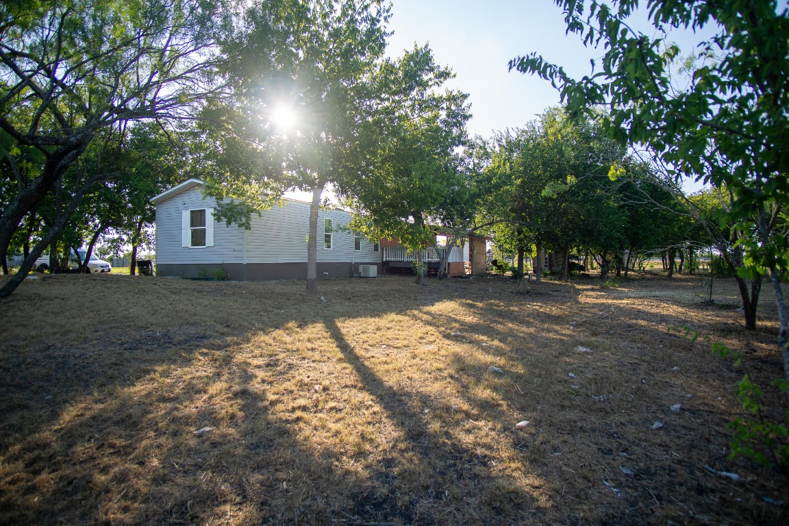 205 Arrowhead Cove Kyle, TX 78640 - Photo 16 of 20 a view of a yard with a house and a tree
