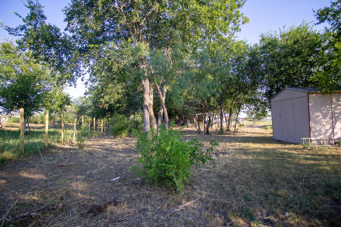 205 Arrowhead Cove Kyle, TX 78640 - Photo 18 of 20 a view of backyard with green space