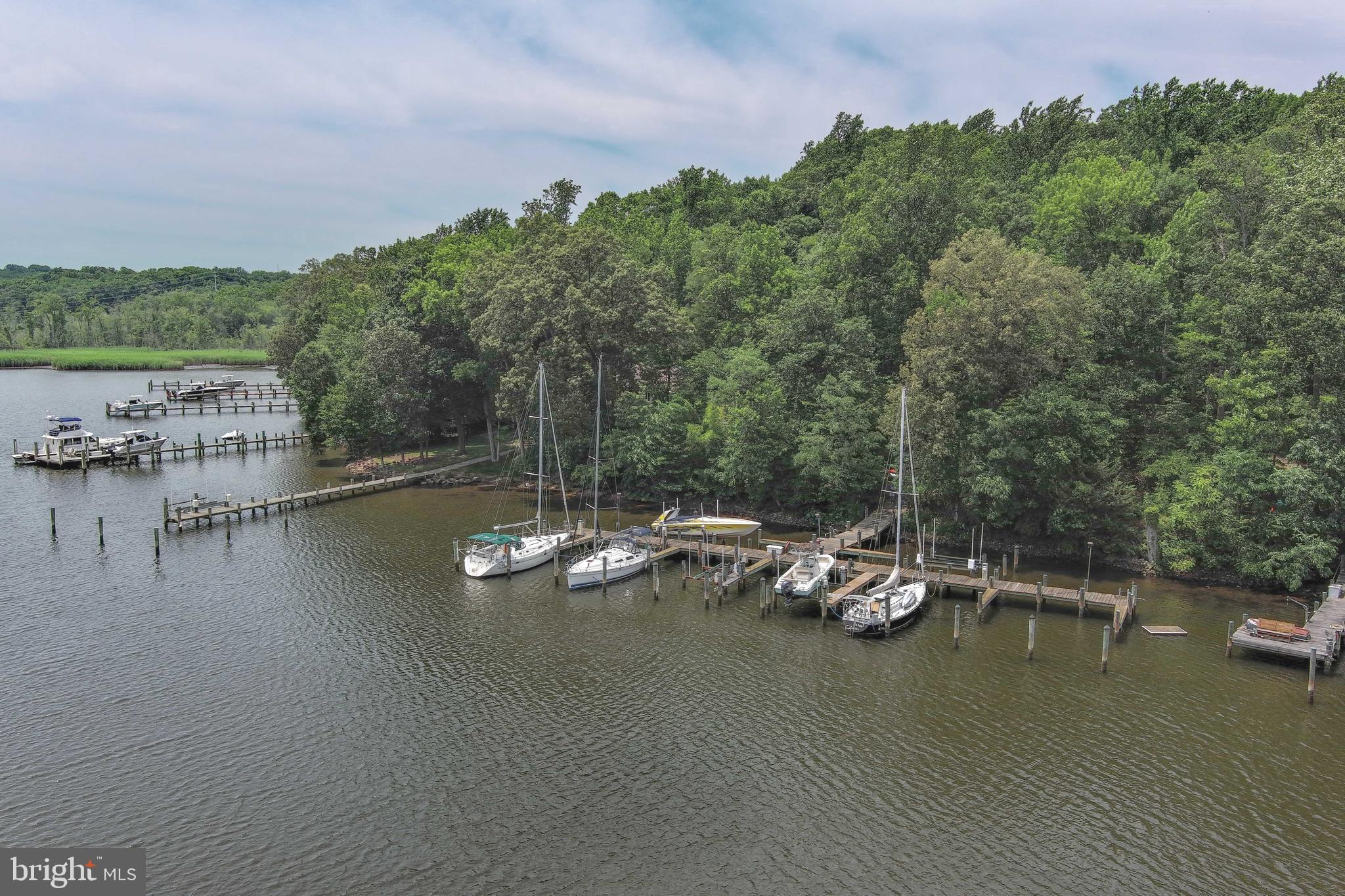 557 Osprey Point Road Crownsville, MD 21032 - Photo 86 of 91 Community Marina in