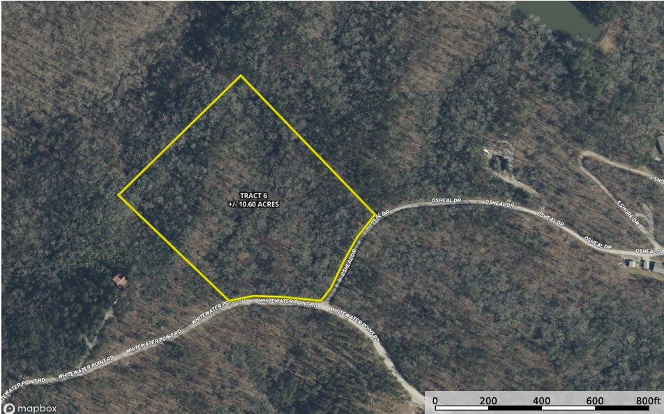 0 Whitewater Point Road Tamassee, SC 29686 - Photo 16 of 21 Gallery Image 16