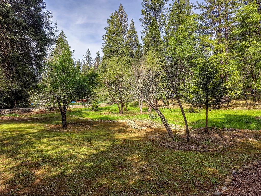 12528 Rattlesnake Road Grass Valley, CA 95945 - Photo 12 of 49
