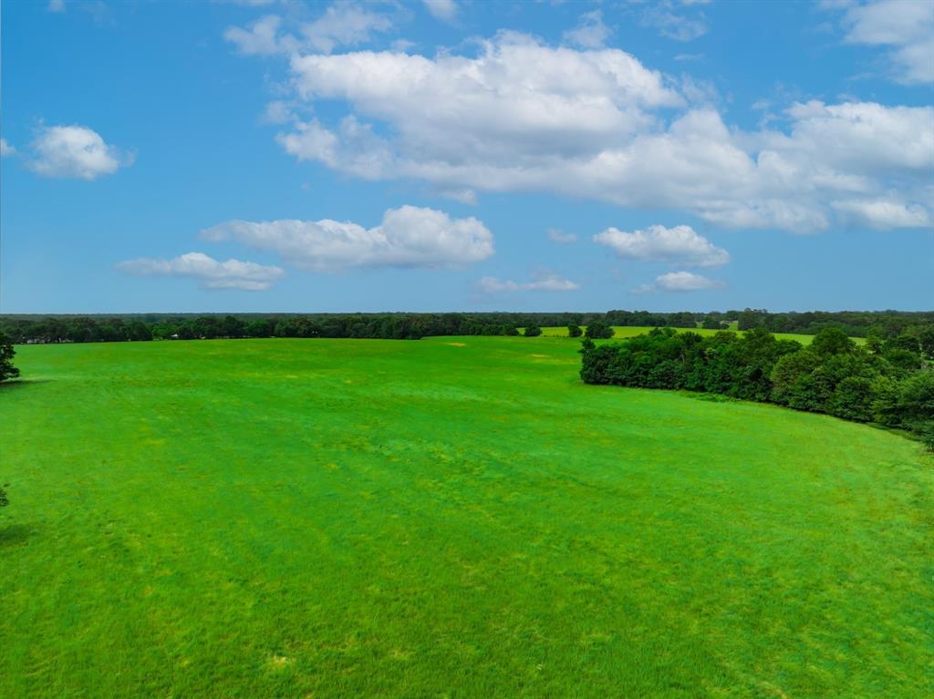 3 County Road 1726 Yantis, TX 75497 - Photo 11 of 11 a view of a big yard with a big yard