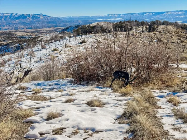 $220,000 | 1725 35 1/10 Road, De Beque, CO 81630