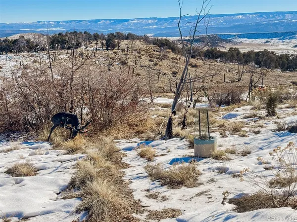 $220,000 | 1725 35 1/10 Road, De Beque, CO 81630