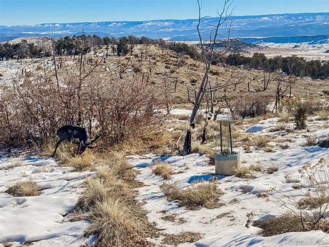 $220,000 | 1725 35 1/10 Road, De Beque, CO 81630