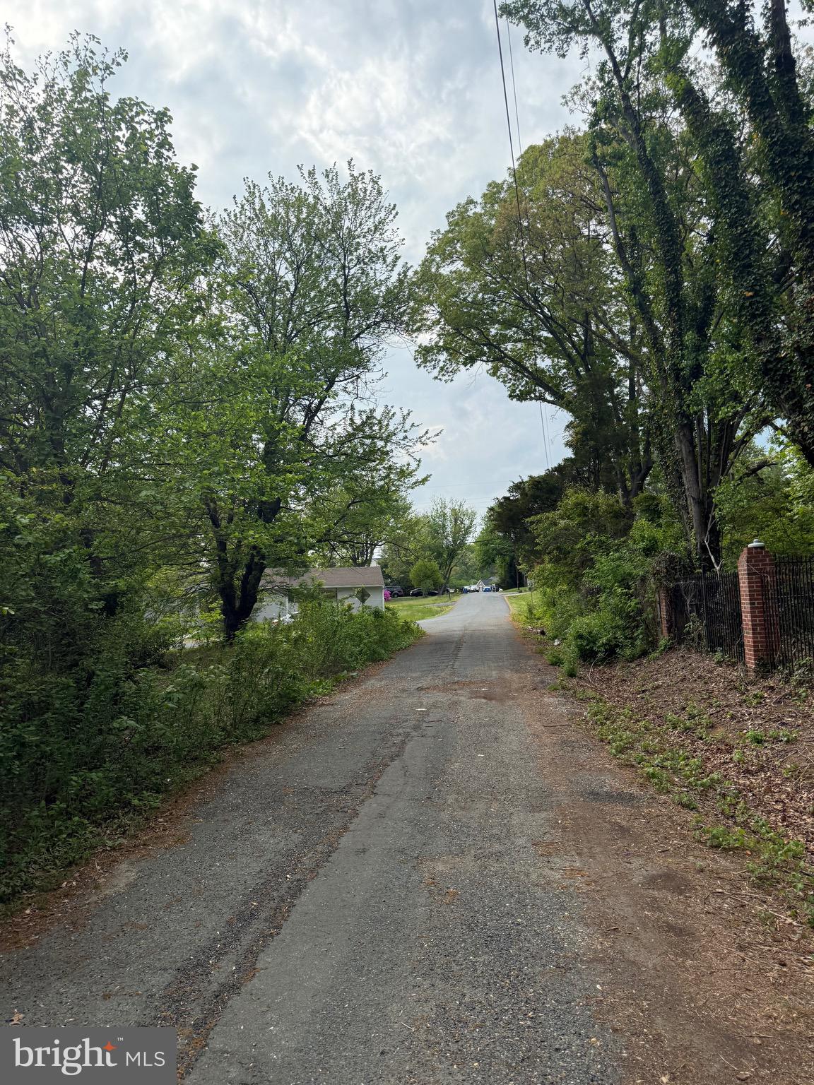 4109 Meyers Road Triangle, VA 22172 - Photo 4 of 10 a view of a dirt road with plants and large trees