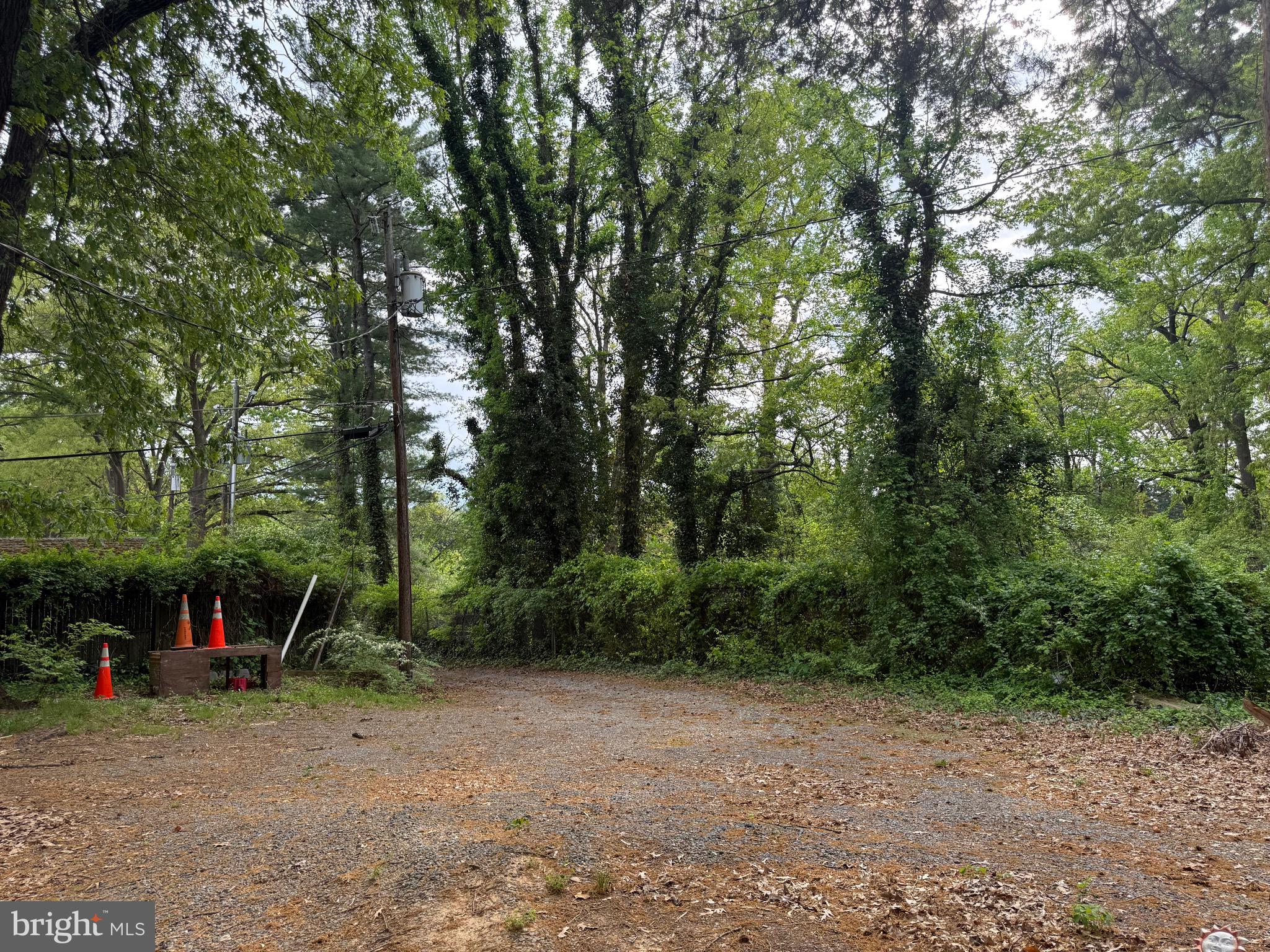 4109 Meyers Road Triangle, VA 22172 - Photo 6 of 10 a view of a park with large trees