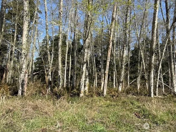 $29,500 | 18 Ander Park Road, Freeland, WA 98249